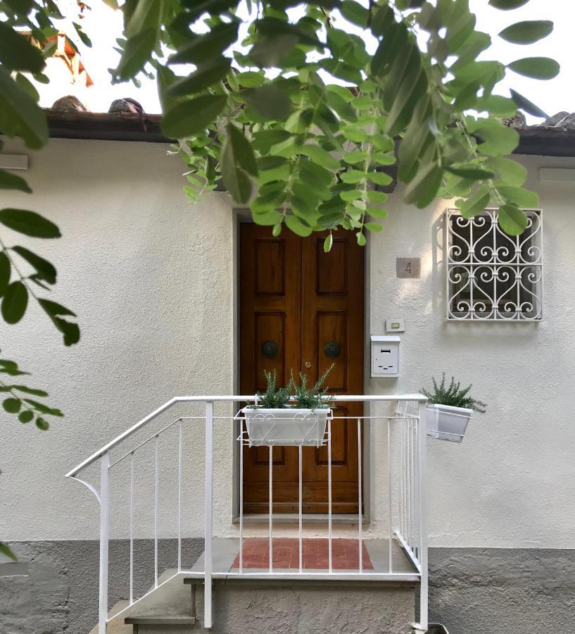 Rustico Rosmarino Villa Castiglion Fiorentino Luaran gambar